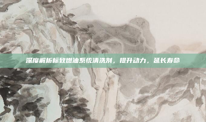 深度解析标致燃油系统清洗剂，提升动力，延长寿命