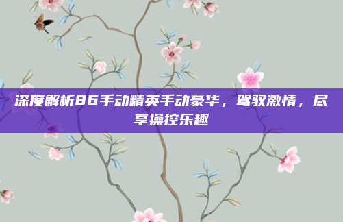 深度解析86手动精英手动豪华，驾驭激情，尽享操控乐趣