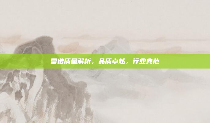 雷偌质量解析，品质卓越，行业典范