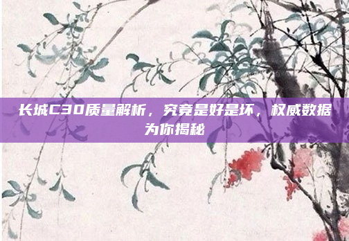长城C30质量解析，究竟是好是坏，权威数据为你揭秘
