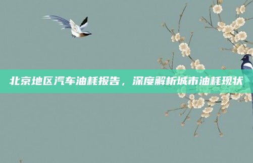 北京地区汽车油耗报告，深度解析城市油耗现状