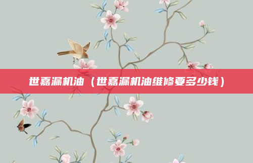 世嘉漏机油(世嘉漏机油维修要多少钱)