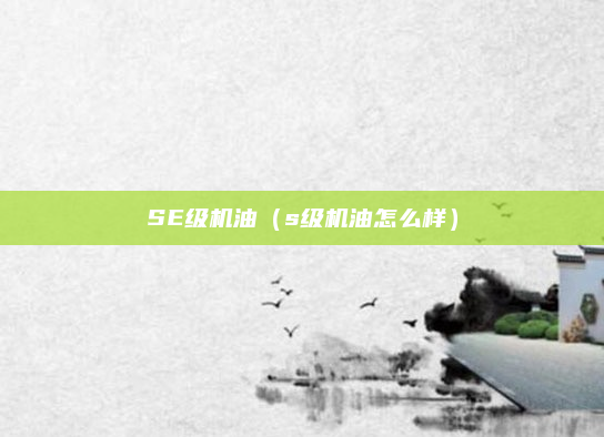SE级机油(s级机油怎么样)