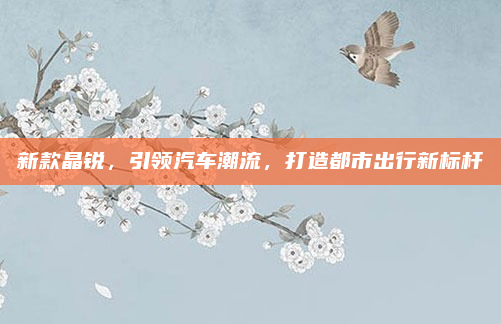 新款晶锐，引领汽车潮流，打造都市出行新标杆