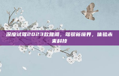 深度试驾2023款雅阁,驾驭新境界,体验未来科技