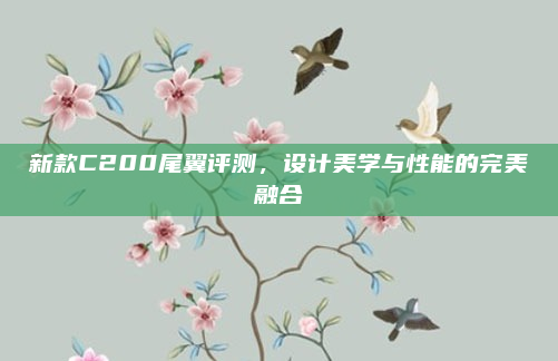 新款C200尾翼评测,设计美学与性能的完美融合
