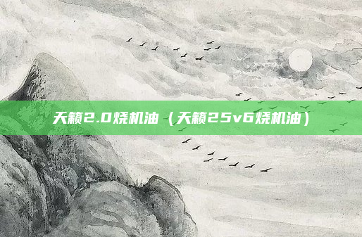 天籁2.0烧机油（天籁25v6烧机油）