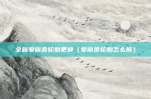 全新爱丽舍轮胎更换（爱丽舍轮胎怎么拆）