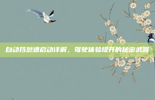 自动挡怠速启动详解，驾驶体验提升的秘密武器