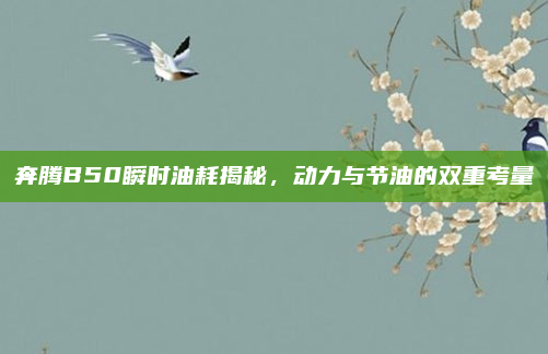 奔腾B50瞬时油耗揭秘，动力与节油的双重考量