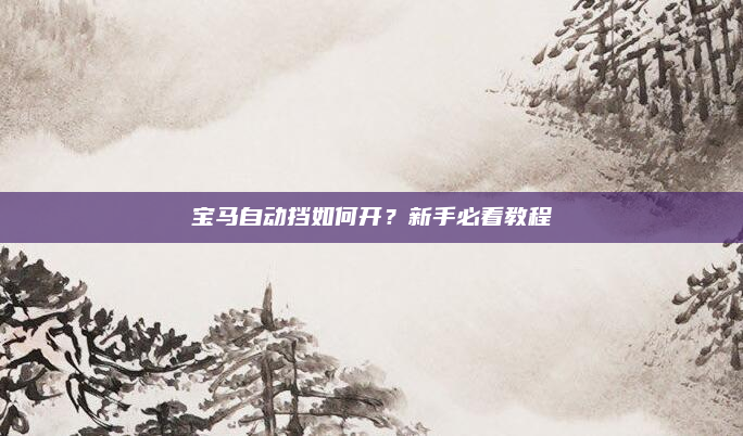 宝马自动挡如何开？新手必看教程