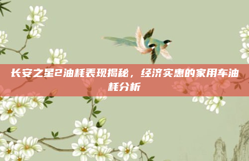 长安之星2油耗表现揭秘,经济实惠的家用车油耗分析