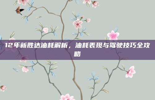 12年新胜达油耗解析,油耗表现与驾驶技巧全攻略
