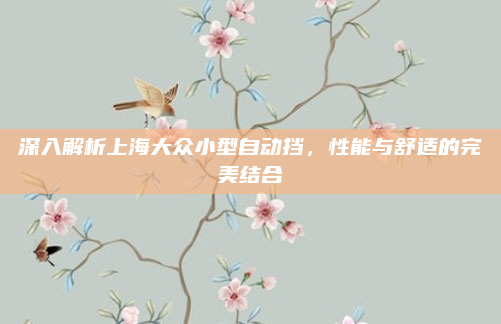 深入解析上海大众小型自动挡，性能与舒适的完美结合