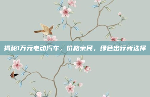揭秘1万元电动汽车,价格亲民,绿色出行新选择
