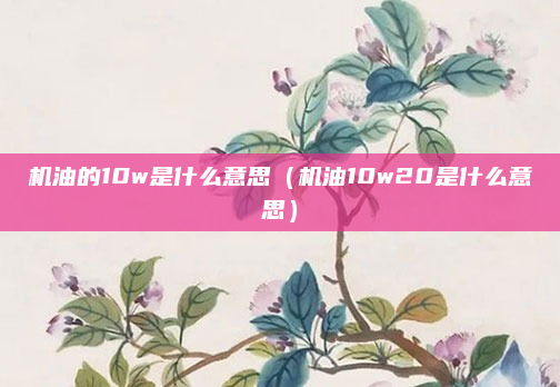 机油的10w是什么意思（机油10w20是什么意思）