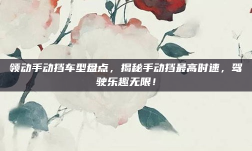 领动手动挡车型盘点,揭秘手动挡最高时速,驾驶乐趣无限!