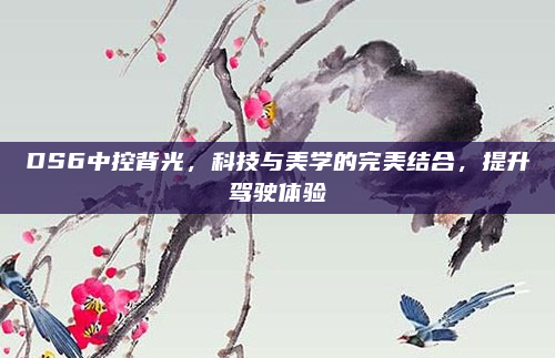 DS6中控背光,科技与美学的完美结合,提升驾驶体验