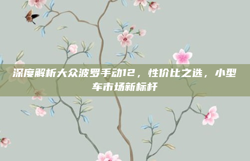 深度解析大众波罗手动12，性价比之选，小型车市场新标杆