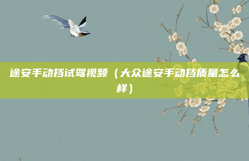 途安手动挡试驾视频（大众途安手动挡质量怎么样）