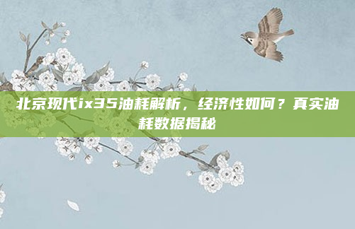 北京现代ix35油耗解析，经济性如何？真实油耗数据揭秘