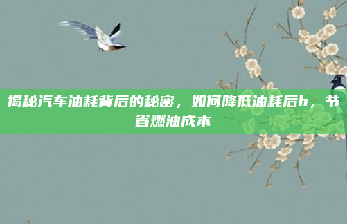 揭秘汽车油耗背后的秘密，如何降低油耗后h，节省燃油成本