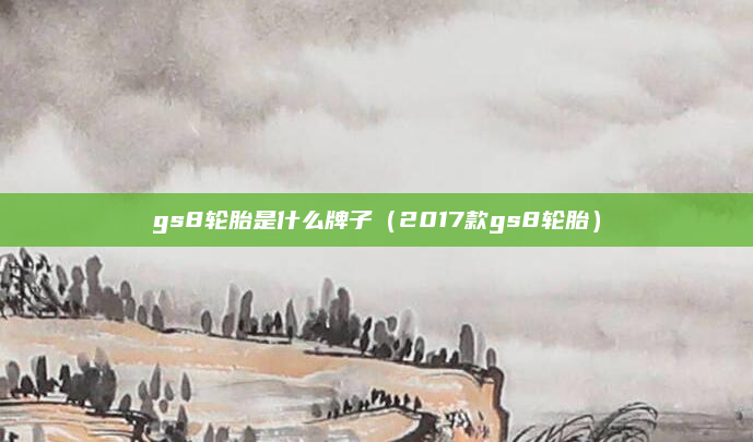 gs8轮胎是什么牌子（2017款gs8轮胎）