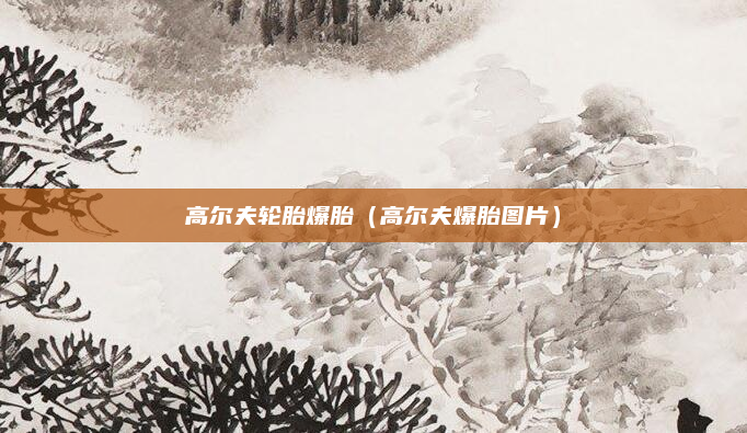 高尔夫轮胎爆胎（高尔夫爆胎图片）