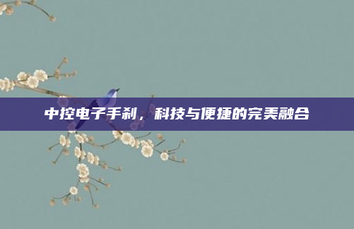 中控电子手刹,科技与便捷的完美融合
