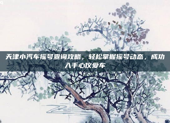 天津小汽车摇号查询攻略，轻松掌握摇号动态，成功入手心仪爱车