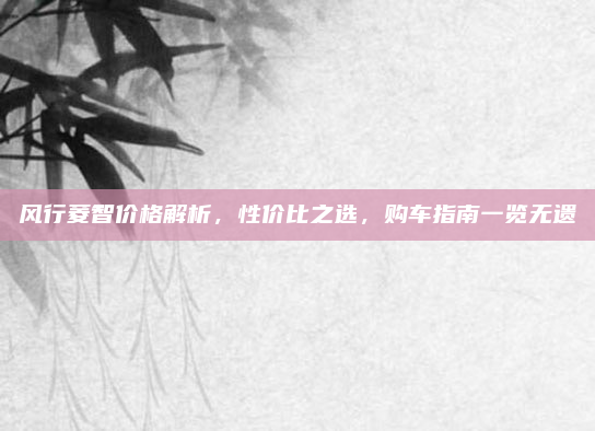 风行菱智价格解析，性价比之选，购车指南一览无遗