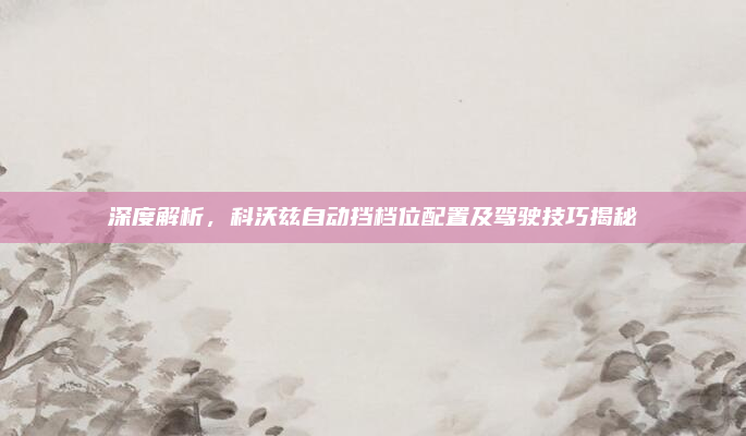 深度解析，科沃兹自动挡档位配置及驾驶技巧揭秘