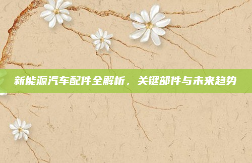 新能源汽车配件全解析,关键部件与未来趋势