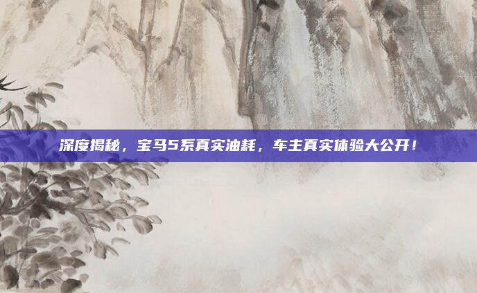 深度揭秘，宝马5系真实油耗，车主真实体验大公开！
