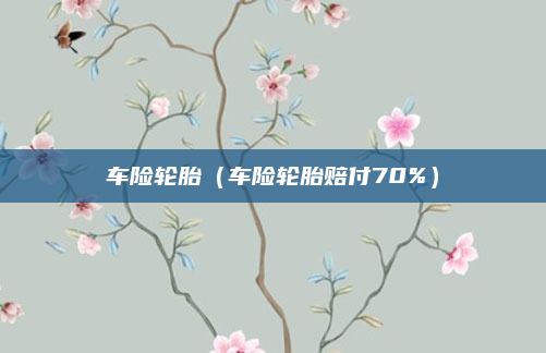 车险轮胎（车险轮胎赔付70%）