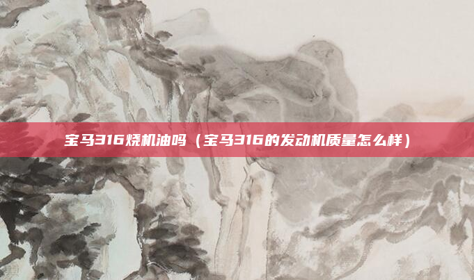 宝马316烧机油吗（宝马316的发动机质量怎么样）