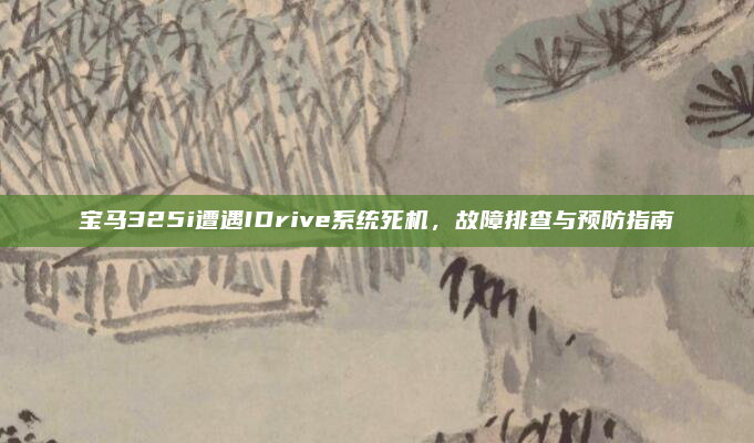宝马325i遭遇IDrive系统死机，故障排查与预防指南