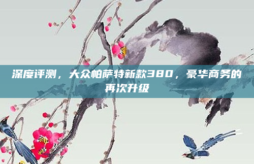 深度评测，大众帕萨特新款380，豪华商务的再次升级