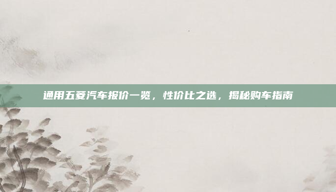 通用五菱汽车报价一览，性价比之选，揭秘购车指南