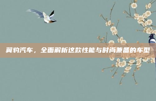翼豹汽车,全面解析这款性能与时尚兼备的车型