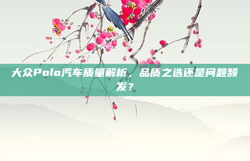 大众Polo汽车质量解析，品质之选还是问题频发？