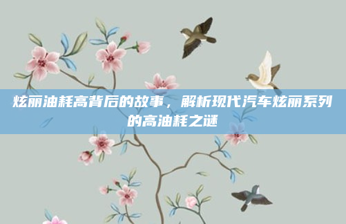 炫丽油耗高背后的故事,解析现代汽车炫丽系列的高油耗之谜