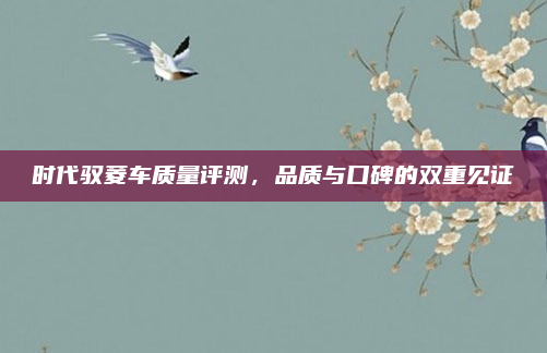 时代驭菱车质量评测,品质与口碑的双重见证