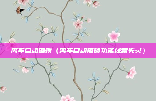 离车自动落锁（离车自动落锁功能经常失灵）