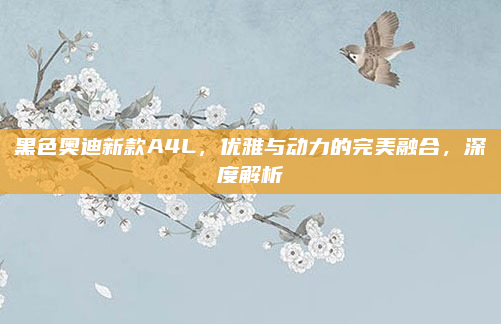 黑色奥迪新款A4L,优雅与动力的完美融合,深度解析