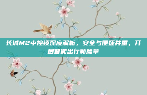 长城M2中控锁深度解析，安全与便捷并重，开启智能出行新篇章