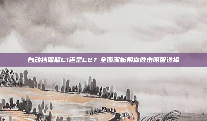 自动挡驾照C1还是C2？全面解析帮你做出明智选择
