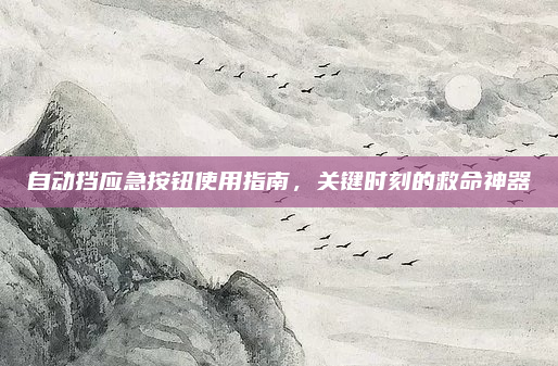 自动挡应急按钮使用指南，关键时刻的救命神器