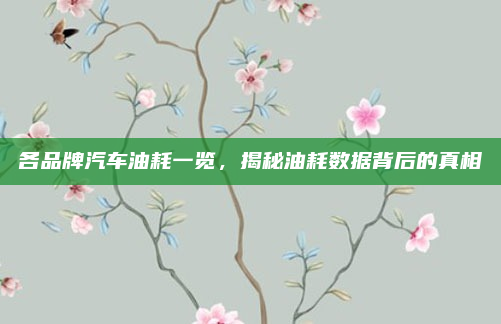 各品牌汽车油耗一览，揭秘油耗数据背后的真相
