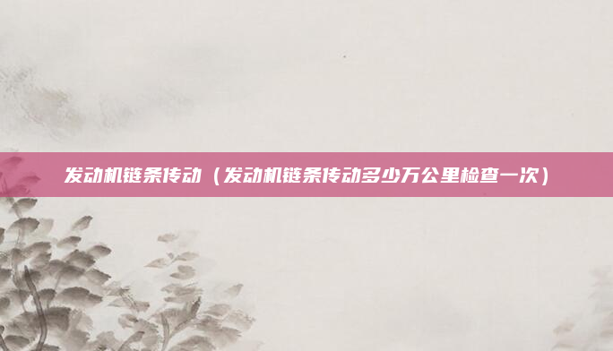 发动机链条传动(发动机链条传动多少万公里检查一次)